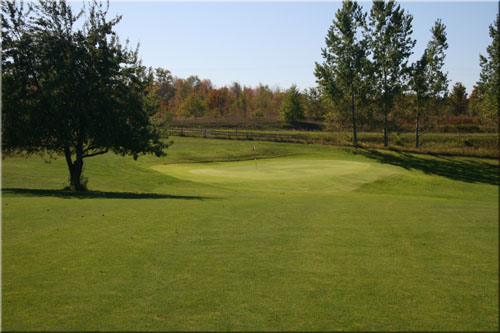 Chestnut Hills Golf hole #2 green