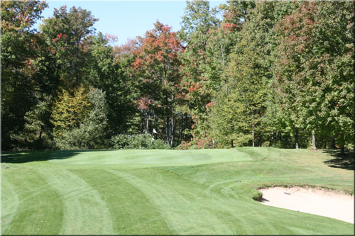Chestnut Hills Golf hole #4 green
